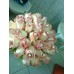 Buquet de Rosas com strass