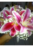 Buquet de Lírio