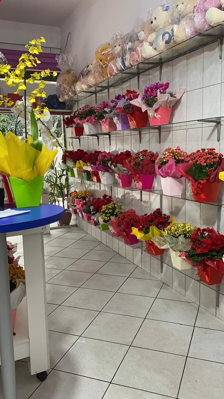 LinsFlores Espaço